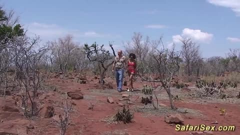 Einen guten Sex-Moment auf der Safari erleben